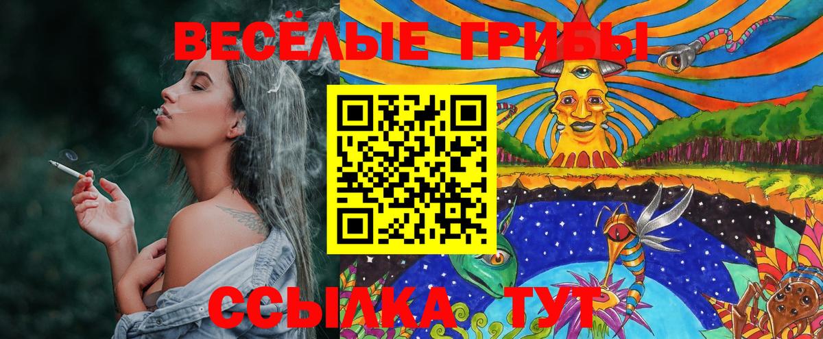 Галлюциногенные грибы прущие грибы Егорьевск