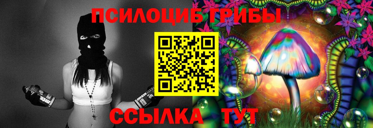 Псилоцибиновые грибы Magic Shrooms  Галлюциногенные грибы Cubensis  Вход с VPN  Егорьевск 
